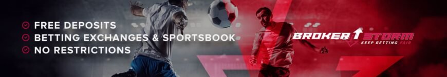 Brokerstorm Blog Banner